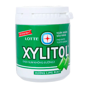 GUM XYLITOL LIME MINT 55,1G