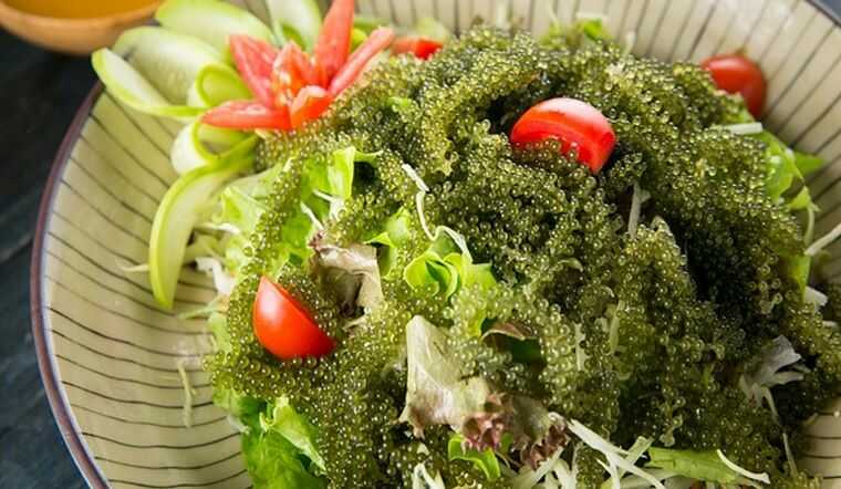 SALAD RONG NHO